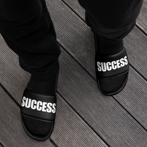 SUCCESS SLIDES